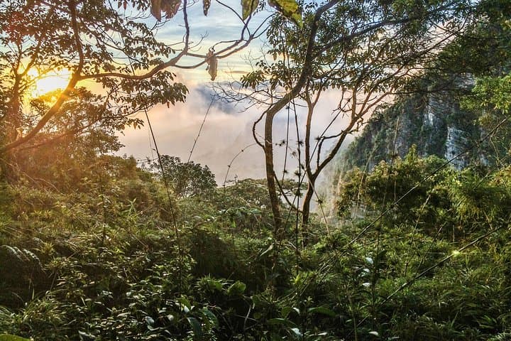 Chicaque National Park Cloud-Forest Hike from Bogotá photo 4