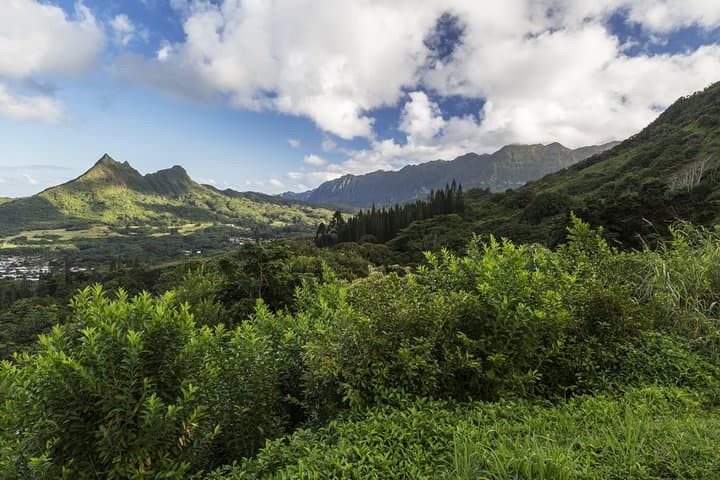 Circle Island (Holoholo Mokupuni) from Ko Olina — Full-Day Oahu Tour to North Shore, Waimea & Nu‘uanu Pali photo 5
