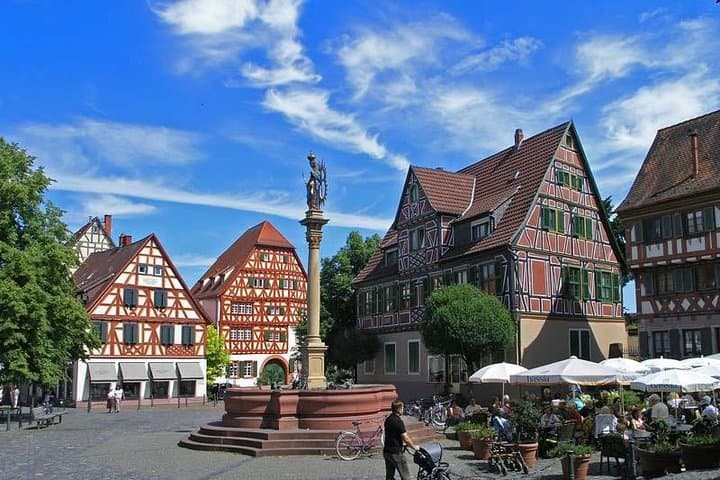 Heidelberg to Ladenburg Bicycle Tour — Roman Ruins, Carl Benz & Country Lanes photo 2