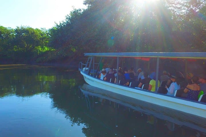 Palo Verde RiverRide: Tempisque River Boat Tour from Guanacaste