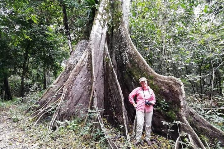 4-Day Amazon Lodge Expedition from Iquitos — Amazon Wonder Expeditions photo 5