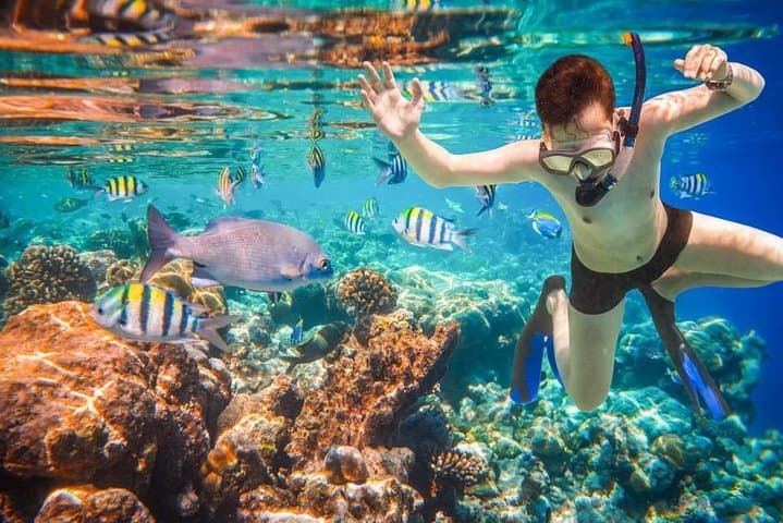 Private 3-Hour Snorkel Tour to El Arco and Lover's Beach, Cabo San Lucas photo 6