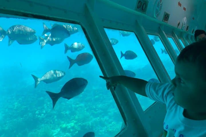 Glass-Bottom Boat Tour and West Bay Beach — Roatán Reef Cruise & Beach Time photo 3