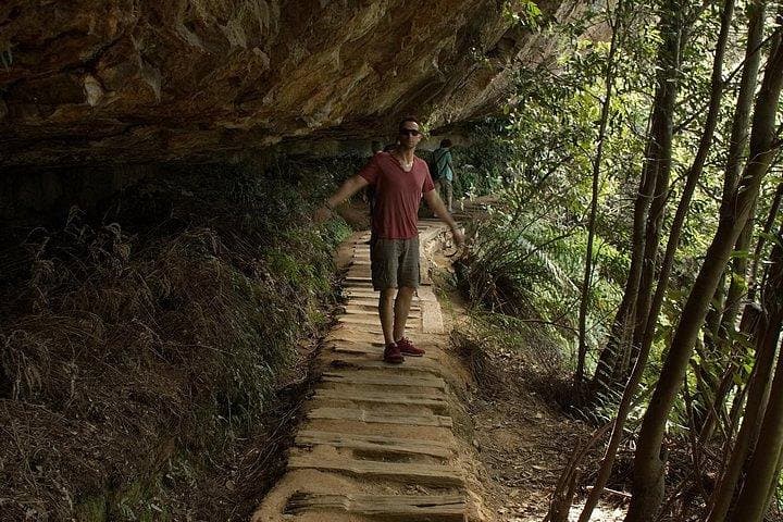 Greater Blue Mountains Wildlife Safari Overnight: 2-Day Jenolan & Kanangra Tour photo 5