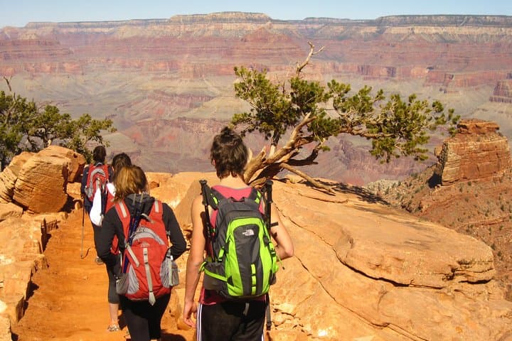 Hike Below the Rim: Guided Grand Canyon Day Adventure from Sedona & Flagstaff photo 5