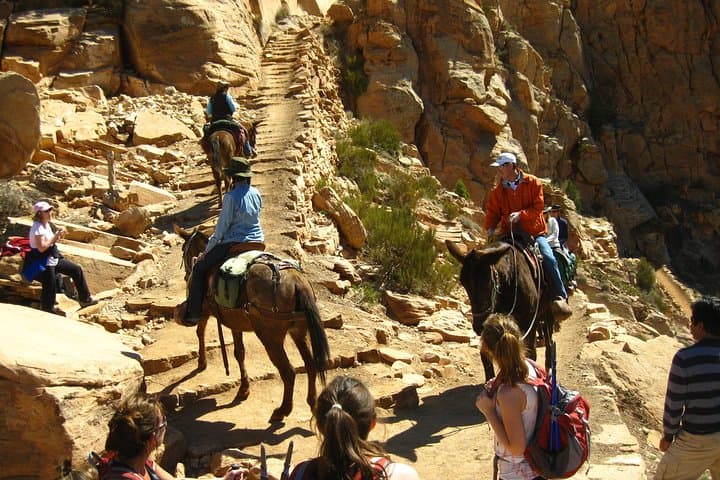Hike Below the Rim: Guided Grand Canyon Day Adventure from Sedona & Flagstaff photo 6