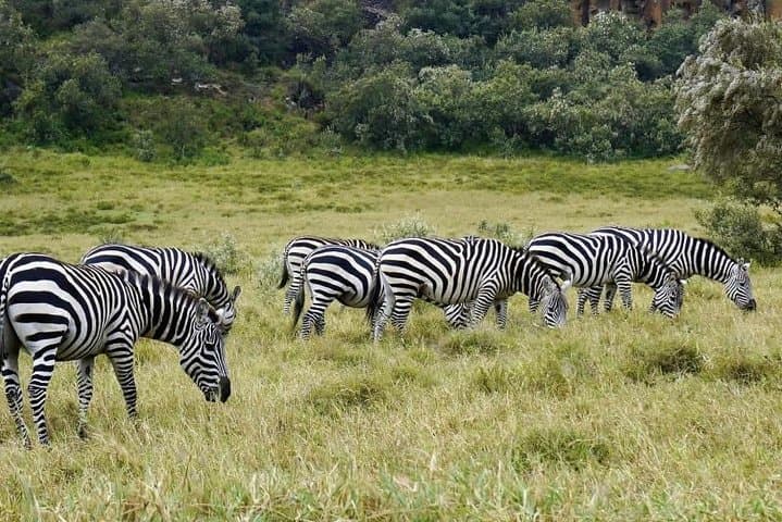 Hell's Gate and Lake Naivasha Day Trip: Guided Hike, Wildlife & Optional Boat Ride photo 4