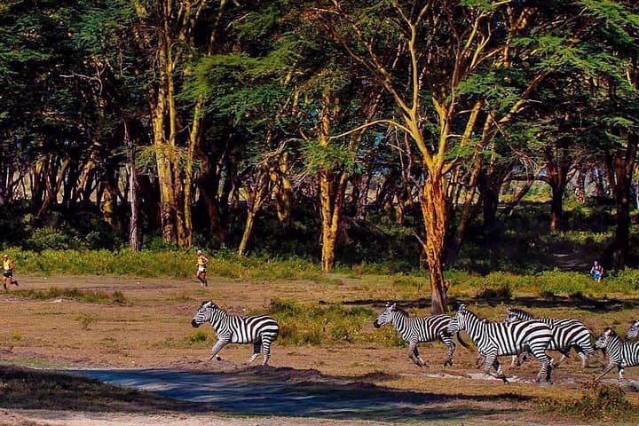 Discover Hell's Gate and Lake Naivasha: A Day Adventure from Nairobi photo 2