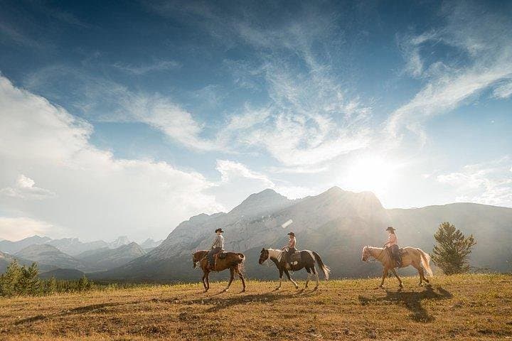 Ridge Ride: 2-Hour Horseback Trail Above Kananaskis Valley