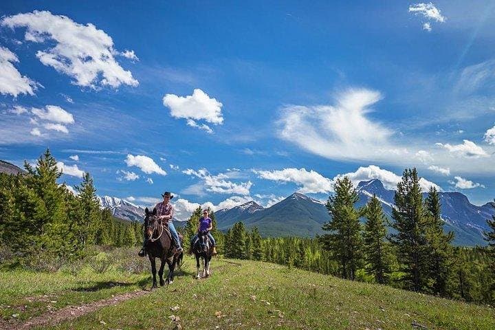 Ridge Ride: 2-Hour Horseback Trail Above Kananaskis Valley photo 2