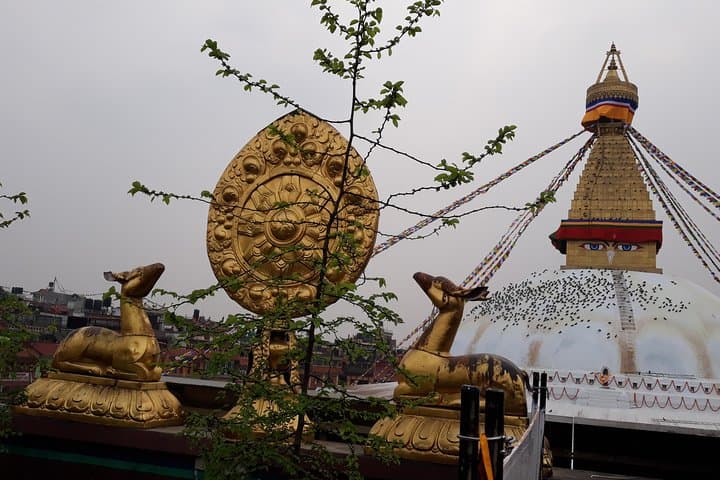 Annapurna Sunrise Trek and Chitwan Wildlife Safari: Mountains, Culture & Rhinos photo 2
