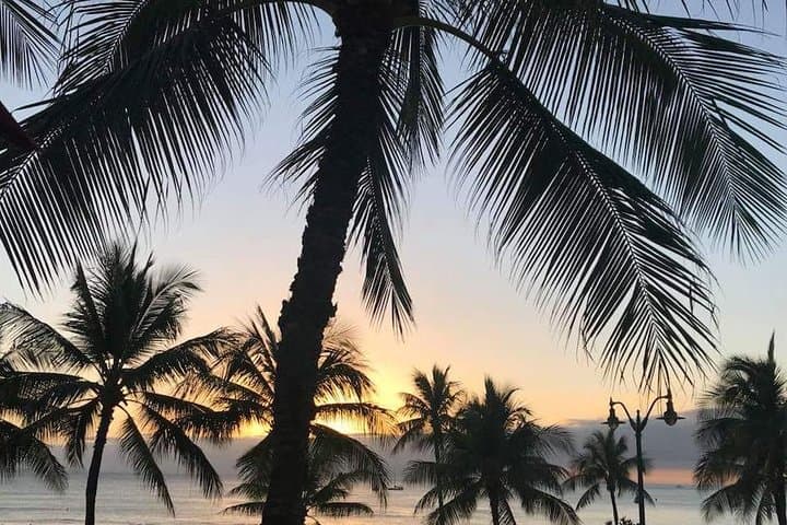 Oahu Personalized Private Tour: Custom Full-Day Island Experience from Honolulu photo 3
