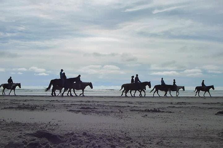 Playa Hermosa to Las Cañadas: Horseback Riding and Zipline Private Tour in Ensenada photo 1