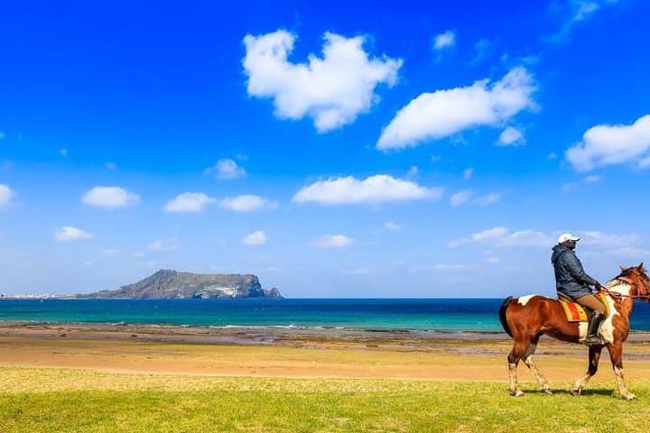 Jeju Canola Festival: Horseback Riding, Haenyeo Village & Olle Trail Tour