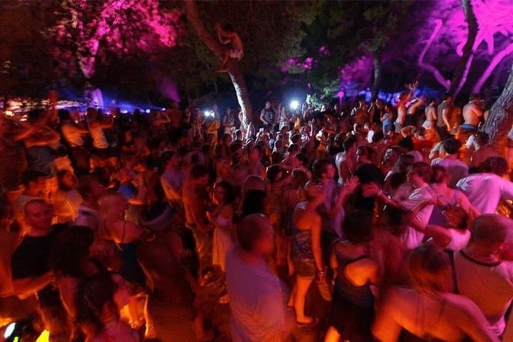 Seamless Coastal Transfer to Garden Festival Tisno from Zadar photo 1