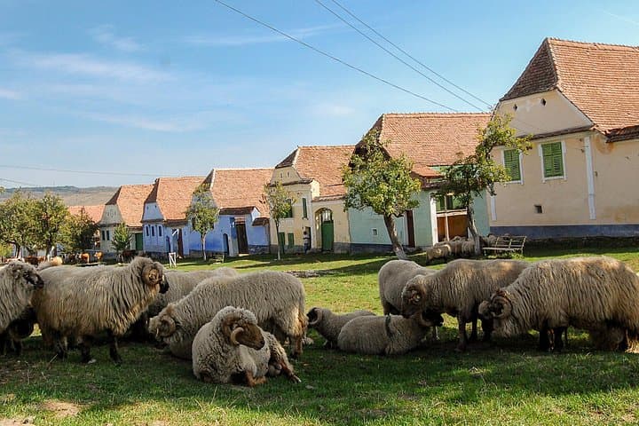 3-Day Medieval Transylvania Tour: Bran, Sibiu, Sighisoara & Transfagarasan photo 1