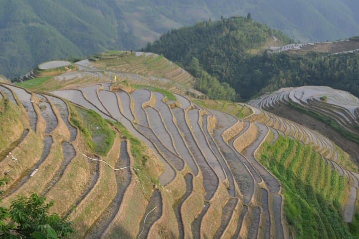Guilin Li River Cruise and Longji Rice Terraces: 2-Day Highlights Tour photo 4