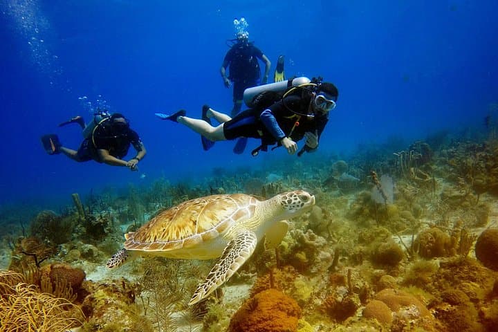 Saona Island Diving: Coral Gardens and Turquoise Seas from Bavaro photo 1