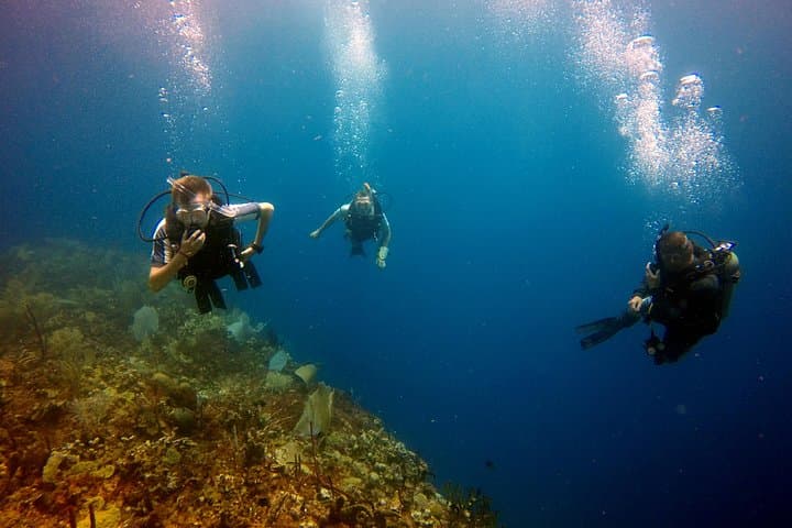 Catalina Island Scuba Diving: Two-Tank Guided Dives from Punta Cana photo 2