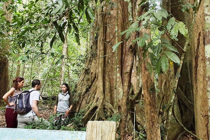 Haew Suwat Waterfall & KM 33 Jungle Hike — Full-Day Khao Yai Adventure from Bangkok photo 5