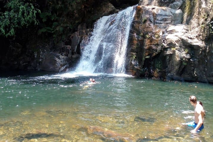 Exploring Sinharaja Rainforest: Day Trek, Waterfalls & Endemic Wildlife photo 5