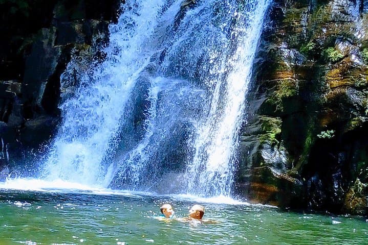 Exploring Sinharaja Rainforest: Day Trek, Waterfalls & Endemic Wildlife