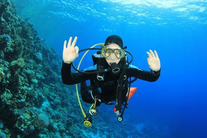 Rhodes Scuba Diving Experience: Try Dive in Kalithea, Kolymbia & Pefkos photo 6