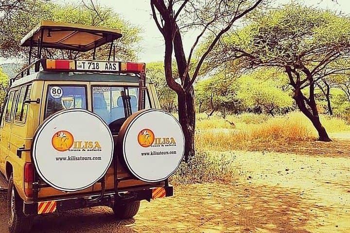 6-Day Cultural Safari: Hadzabe, Serengeti & Ngorongoro Crater Adventure