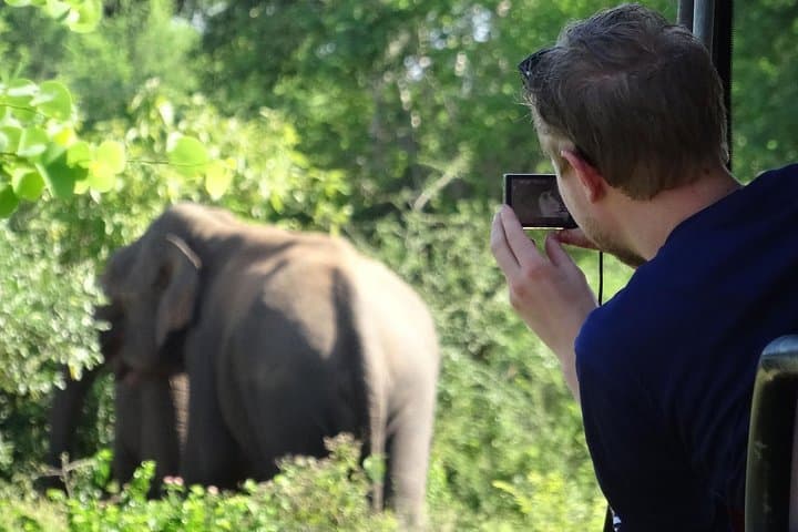 3-Day Honeymoon Glamping & Yala Safari at Leopard Nest photo 4