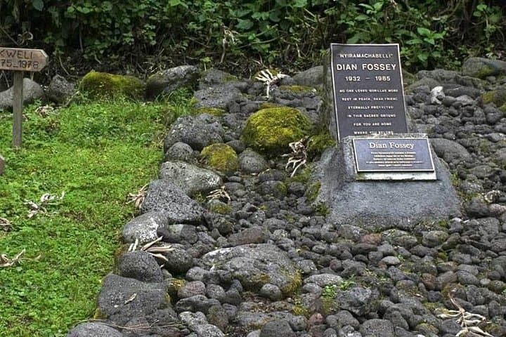 Dian Fossey Tomb Hike — Day Trek in Volcanoes National Park from Kigali