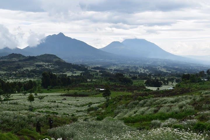 Summiting Mount Bisoke: One-Day Hike to the Crater Lake in Volcanoes National Park photo 5