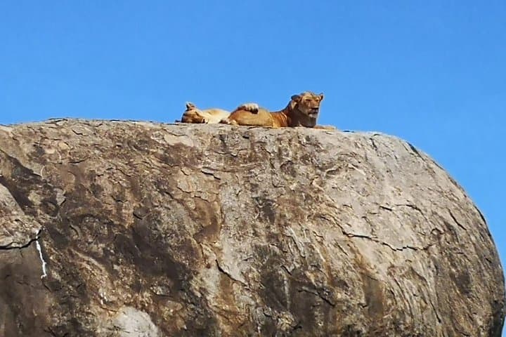 6-Day Safari: Lake Manyara, Serengeti & Ngorongoro Crater