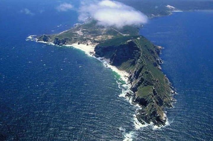Cape Point Peninsula Tour: Penguins, Fynbos & Coastal Drives from Cape Town photo 3