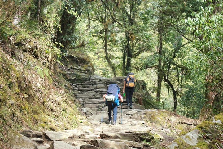 Annapurna Base Camp Trek from Pokhara — 10-Day Tea-House Route to ABC photo 3
