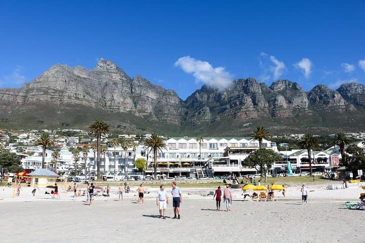 Cape Point Peninsula Tour: Penguins, Fynbos & Coastal Drives from Cape Town photo 5