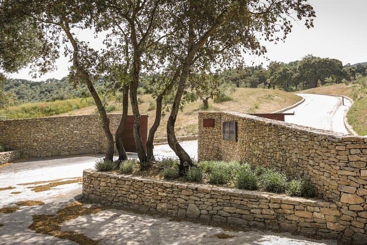 Full-Day Ronda Wine Tour: Finca La Melonera & Ronda Highlights photo 5