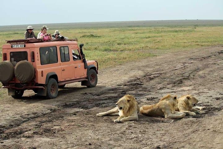 6-Day Luxury Northern Tanzania Safari — Lake Manyara, Serengeti & Ngorongoro photo 5