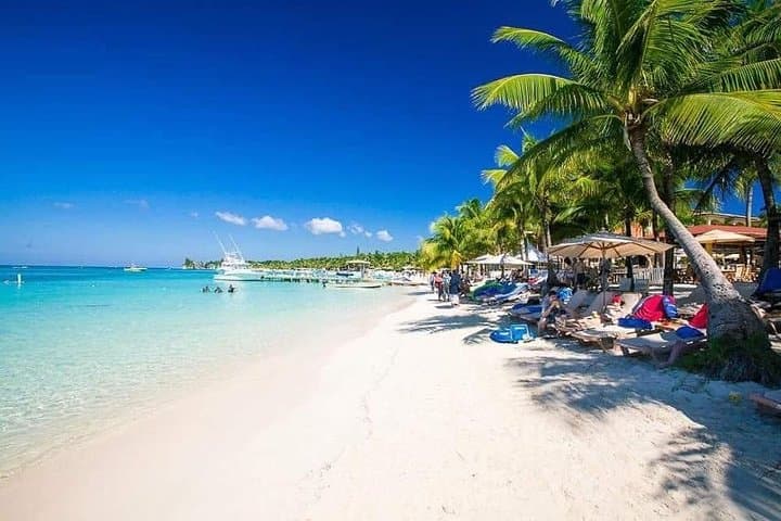 Roatán Zipline, Monkey Park & West Bay Beach Transfer: Jungle Flight to Shore Time photo 5