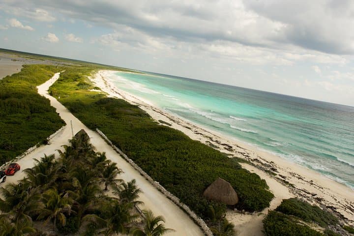 Dune Buggy and Snorkeling at Punta Sur: Cozumel Coastal Adventure with Lunch photo 4