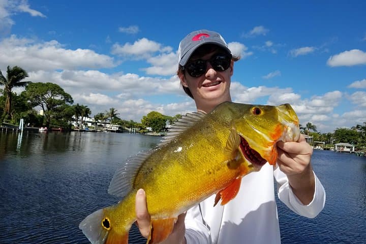 Peacock Bass Fishing Trip on the Lake Osborne Chain — West Palm Beach Guided Charter photo 3
