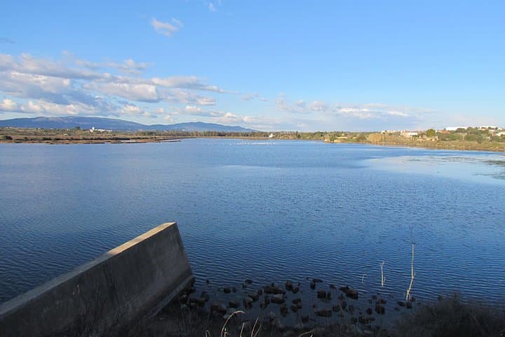 Half-Day Birdwatching at Abicada Marsh: Ria de Alvor Wildlife Walk photo 6