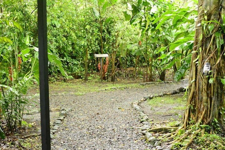 Balsa River Rafting and Cacao Tour — La Fortuna Full-Day Adventure photo 2
