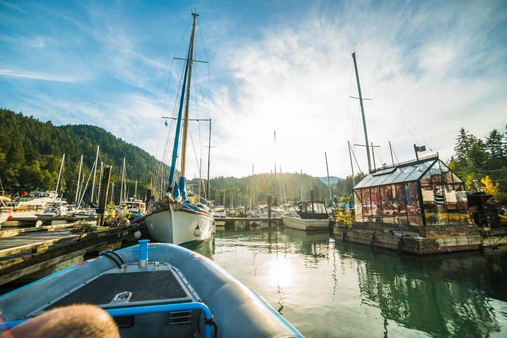 Bowen Island Dinner Zodiac Tour from Vancouver — Evening Cruise & Waterfront Dining photo 2