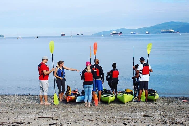 Paddle False Creek: Vancouver Smooth Classic Kayak Tour from Granville Island photo 4