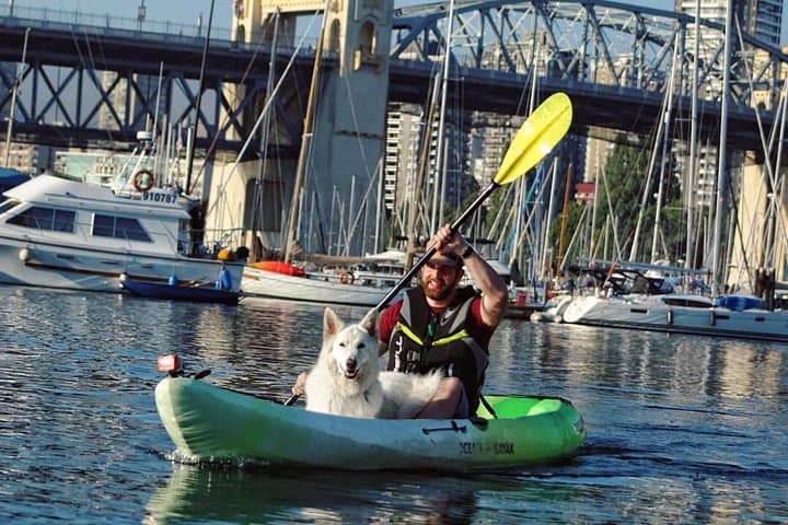 Paddle False Creek: Vancouver Smooth Classic Kayak Tour from Granville Island photo 5