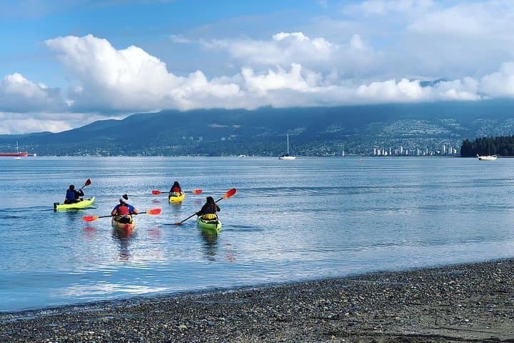Paddle False Creek: Vancouver Smooth Classic Kayak Tour from Granville Island photo 6