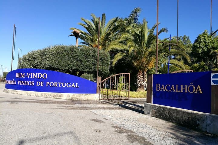 Private Wine Tasting Tour at Quinta Bacalhôa & José Maria da Fonseca — Setúbal Day Trip photo 2