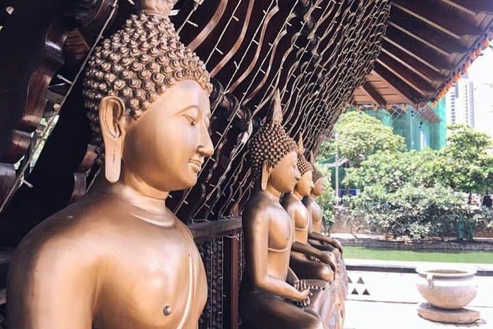 Colombo Shore Excursion: 4-Hour City Tour from the Cruise Port