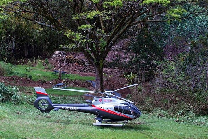 Hana Rainforest Helicopter Tour with Exclusive Taro Plantation Landing photo 4