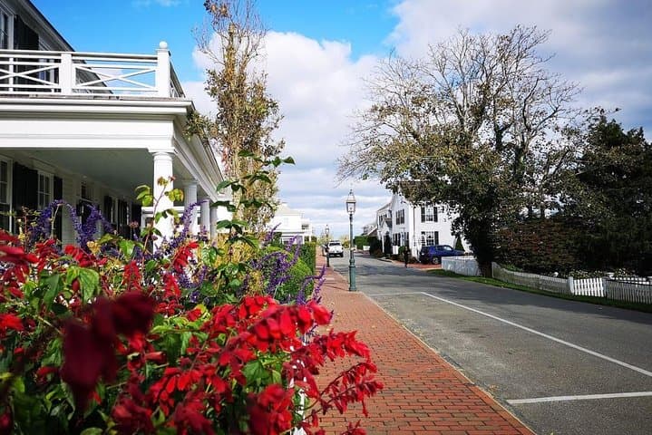 Martha's Vineyard 3-Hour Island Highlights Tour from Oak Bluffs photo 4